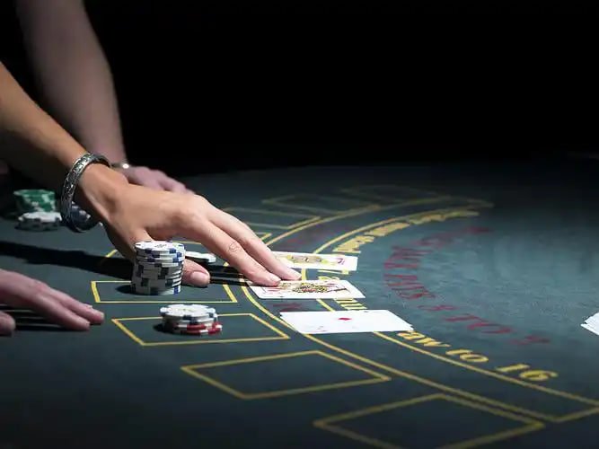 jjj d Live Casino Baccarat Roulette Blackjack ဒိုင်လာ ဂိမ်းကစားနေသောမြင်ကွင်း